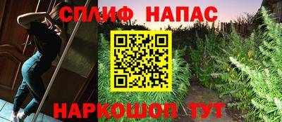 дурь Шебекино