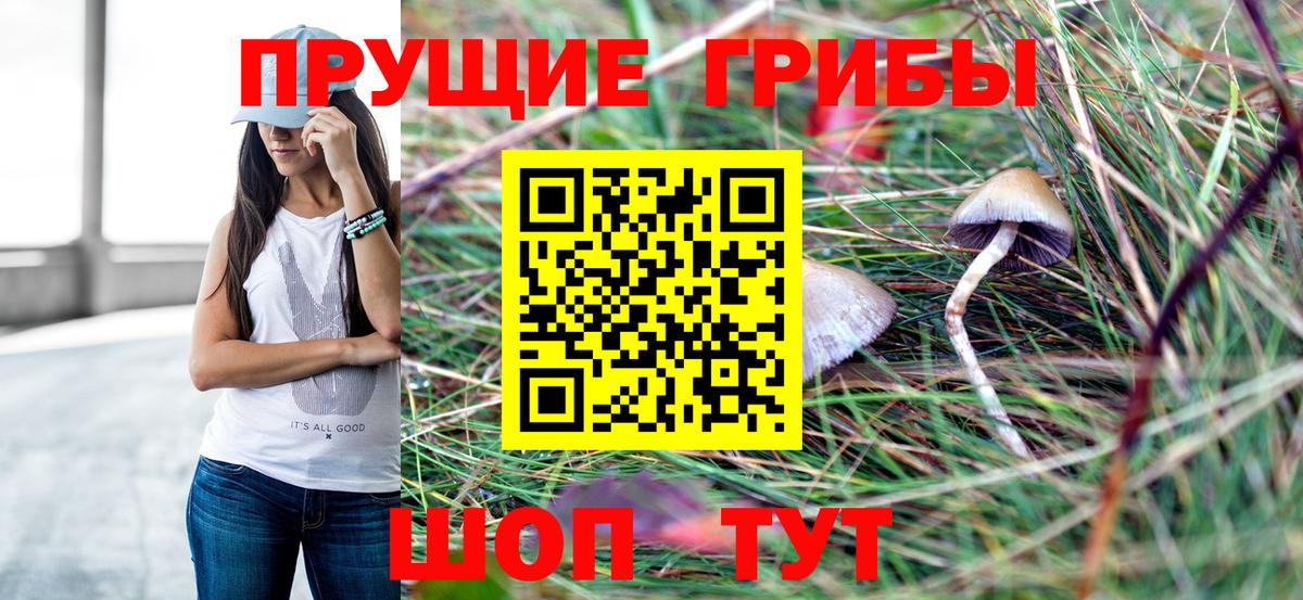 Галлюциногенные грибы мухоморы Бердск